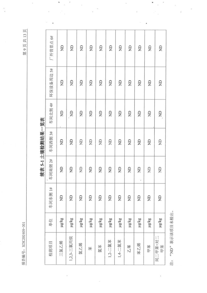 2024土壤地下水檢測(cè)報(bào)告-11